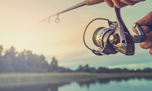 fishing-pole